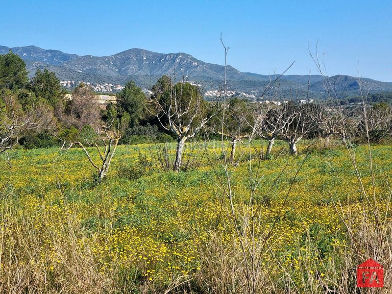 Foto 8bd9ca14-7144-4e39-a9b3-16d987f56c5c. Finca rústica a Bisbal del Penedès (La)