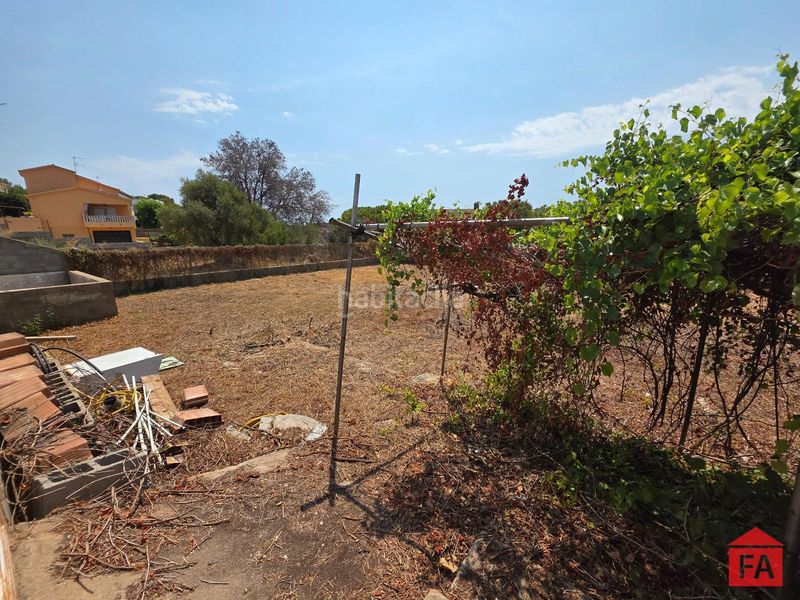Foto 0495d7c5-7bd2-4ea8-803a-3879d16e3944. Finca rústica a Nou Vendrell Vendrell (El)