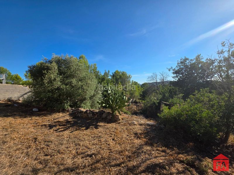 Foto e97b9675-2eac-4bc6-ad61-74572432a58e. Casa amb calefacció aparcament a Masllorenç