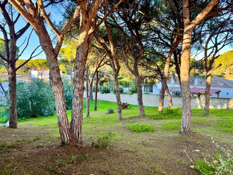 Foto 8a708380-ab27-4691-9111-c74835808974. Finca rústica a Los Franceses - La Vega Chiclana de la Frontera