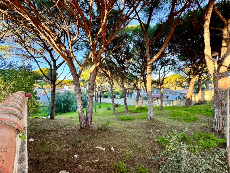 Foto a4ce5f7e-cc76-48bf-8617-4e434595b976. Finca rústica a Los Franceses - La Vega Chiclana de la Frontera