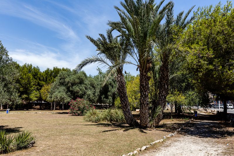 Foto 12a112d7-8b38-4f31-a661-3538c1a12ce8. Apartament a Parque de las Naciones Torrevieja
