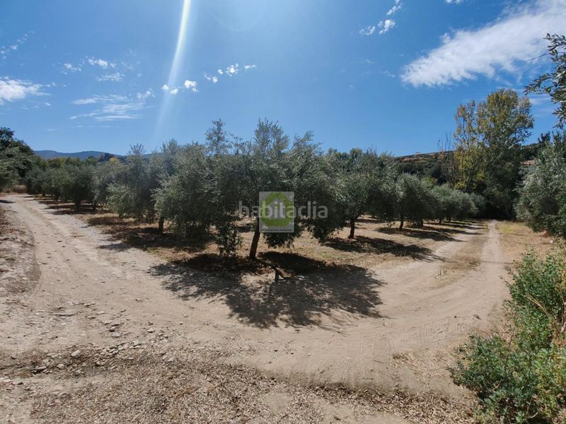 Foto cd36d1ab-4a76-40a5-9be3-4aa61dd0f879. Terreny residencial a Dílar