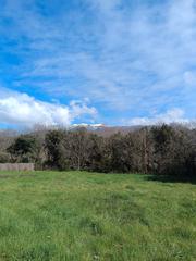 Terrain résidentiel  Carrer castanyers. Terreno en venta en santa margarita