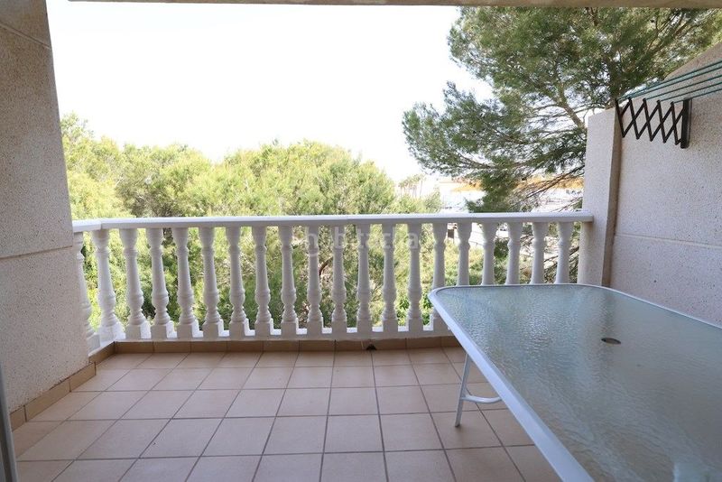 Foto d73b152a-7c18-4de2-9dac-754e08c600ed. Apartament amb piscina a Playa Flamenca Orihuela