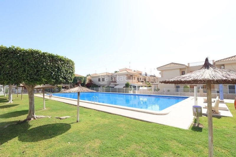 Foto f4b29bc4-9adf-4909-93fe-c3ebfc4736b9. Apartament amb piscina a Playa Flamenca Orihuela