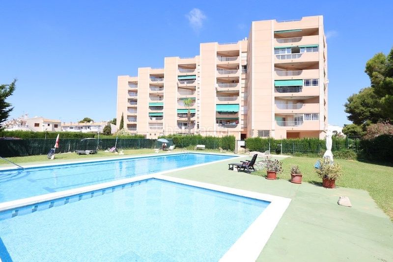 Foto ddff8614-a83e-4f9f-ba20-92ab1fc37219. Apartament amb piscina a La Zenia Orihuela