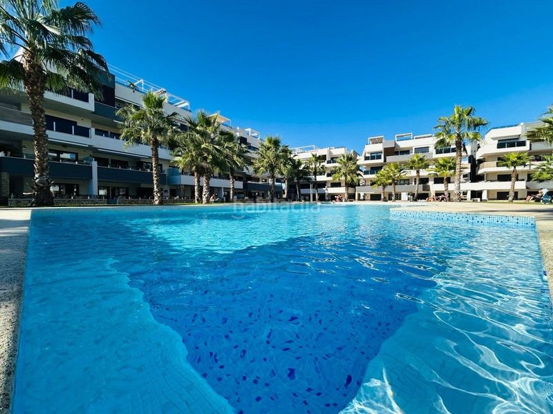 Foto 88766ce3-c6fa-4620-a7bc-119ca74a8a4e. Apartament amb aparcament piscina a La Florida Orihuela