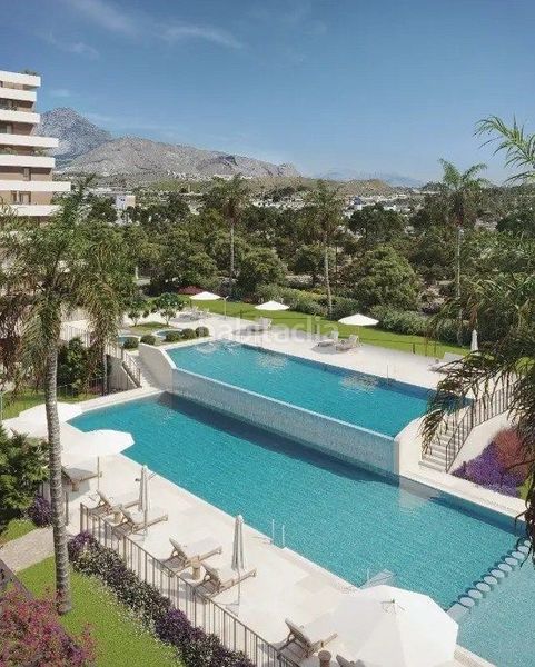 Foto b1230205-96dd-4964-acbe-493d5b872680. Apartament amb aparcament piscina a Platja de Torres Vila Joiosa (la)