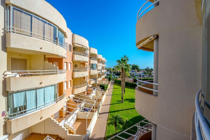 Foto 45f8b97d-eb1f-42dd-88a8-ba639ff7cf5c. Apartament amb piscina a Campoamor Orihuela