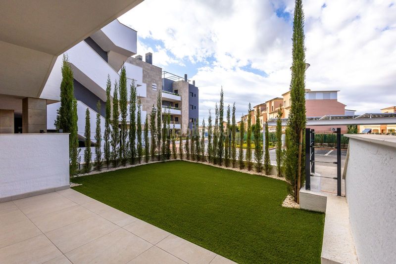 Foto 275b10e8-e1c2-45ba-9701-fdc00352bdd5. Apartament amb piscina a Playa Flamenca Orihuela