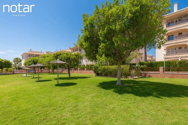 Foto 40e18bb0-b59d-4d19-93f6-7ce39482838a. Apartament amb piscina a Playa Flamenca Orihuela