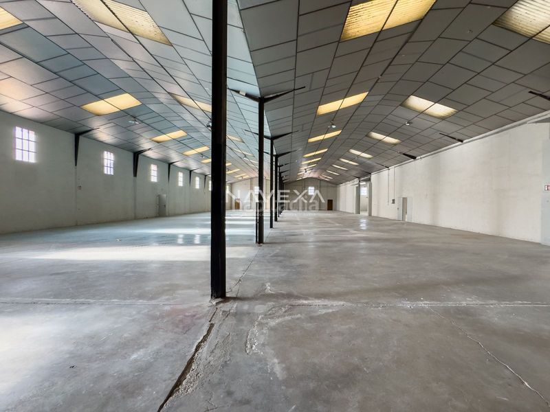 Foto 73727c80-dd1b-49e1-b73b-77b1bef2c308. Rent industrial building in Zona Industrial Pinto