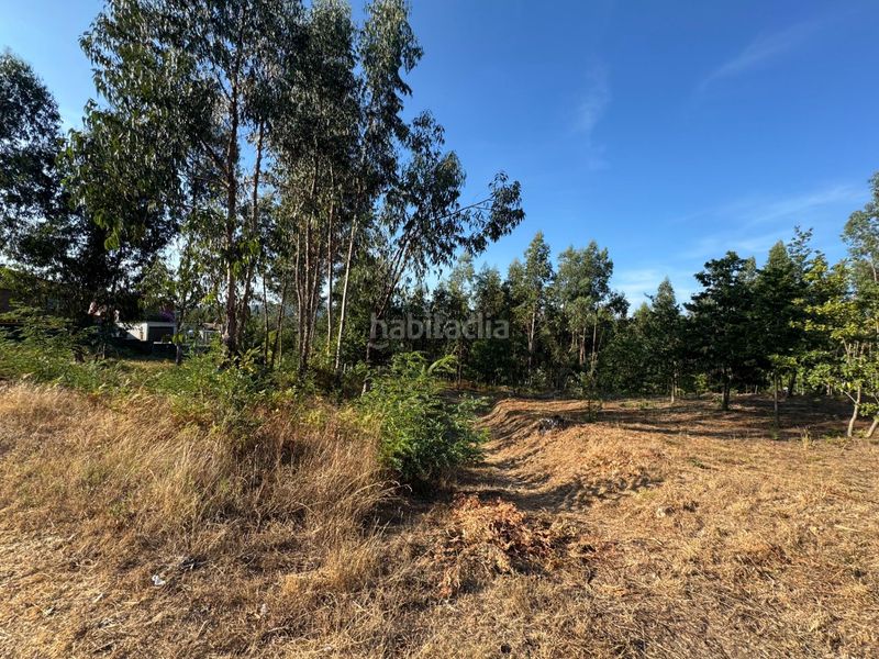 Foto 06e0cfb5-a1e9-4011-9fba-d7a96a146e58. Terreny residencial a Salceda de Caselas