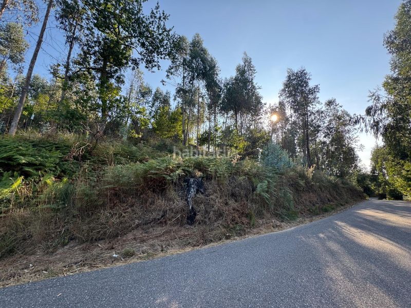 Foto b80fb017-c8cb-4117-877a-b1984bf5fc56. Terreny residencial a Salceda de Caselas