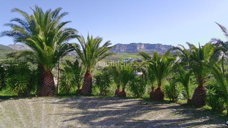 Foto f84d9d86-182c-4273-984a-f06ebbc67d57. Masia amb xemeneia calefacció aparcament piscina a Villanueva De La Concepción