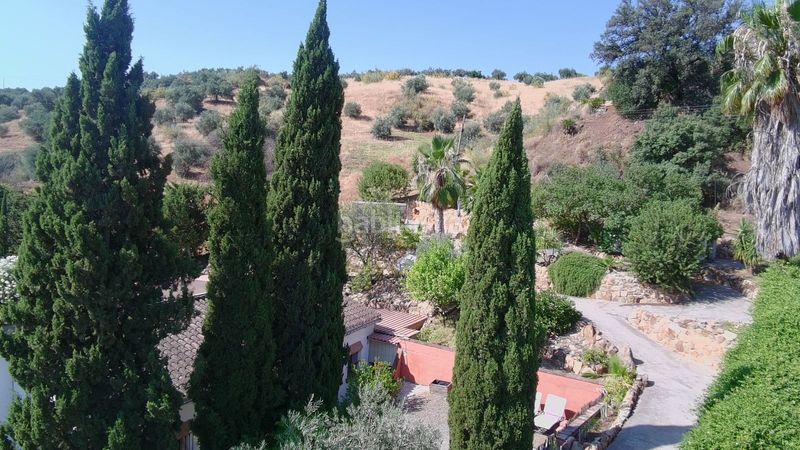 Foto 496840fb-1ece-48e3-865e-9e3e4135133c. Casa amb xemeneia calefacció aparcament piscina a Álora