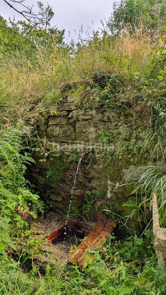 Foto 3f639ece-4fcc-4dcf-98ab-da2e9802970a. Bauernhof in Sierrapando Torrelavega