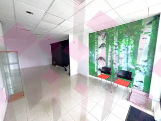 Local Comercial en Ronda de la mata 6