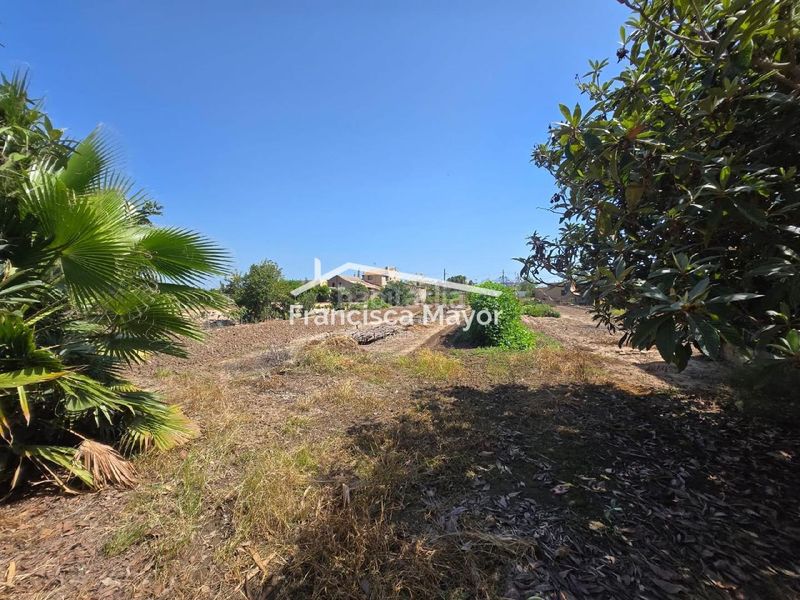 Foto 5d9ffc17-502b-4dee-b467-85b18b98f243. Planta baixa a La Punta Valencia