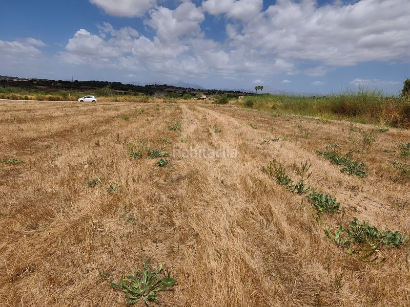 Foto 21ce8a74-9e38-408d-a521-b37a75ac9c09. Finca rústica a Santa Margalida poble Santa Margalida