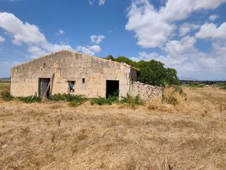 Fondo rustico  Carrer església. Finca rustica con casa de piedra a reformar en santa margalida