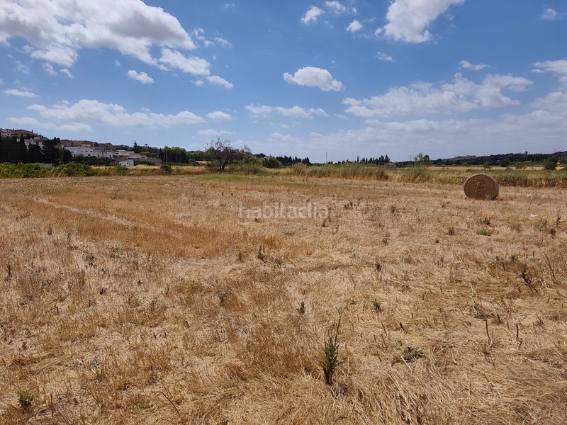 Foto 3c3a7773-7660-4c30-8c13-0c336f2eba16. Finca rústica a Santa Margalida poble Santa Margalida