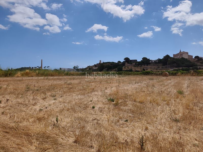 Foto 40cae78e-3e84-439f-8690-2d88e7c8a312. Finca rústica a Santa Margalida poble Santa Margalida