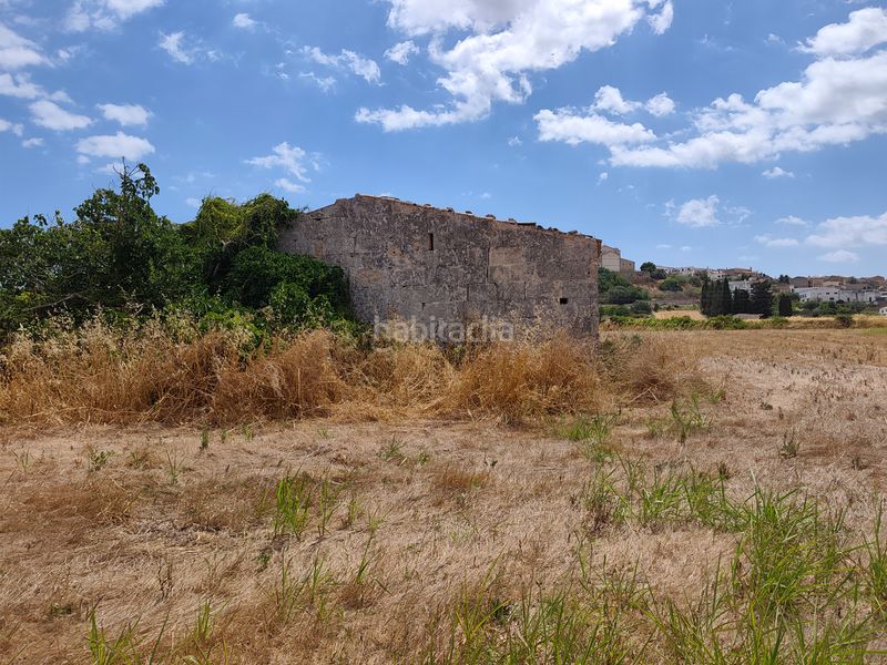 Foto 590d8a5b-6ad7-41f9-9035-354ab94e4439. Finca rústica a Santa Margalida poble Santa Margalida