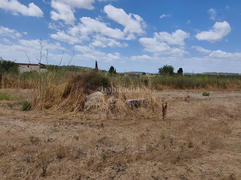 Foto 5ba0aff1-d9ad-43bb-a17e-23e5358b74fc. Finca rústica a Santa Margalida poble Santa Margalida