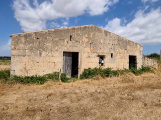 Rural plot  Carrer església. Finca rustica con casa de piedra a reformar en santa margalida