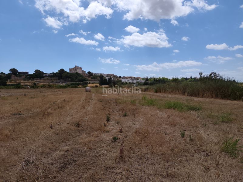 Foto e7e1e5c7-3591-4122-9d5d-1b5c9e30621a. Finca rústica a Santa Margalida poble Santa Margalida