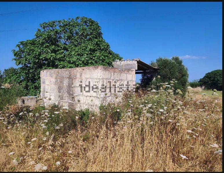 Foto 7e9db7fb-2769-4997-ad60-ee16f9d4a93e. Finca rústica a Muro