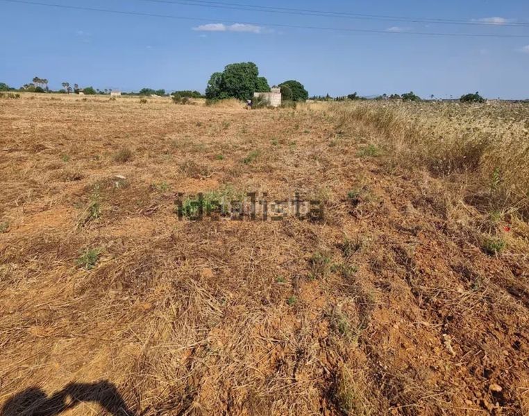 Foto 874cbfff-6622-4893-95a6-b42d38699541. Finca rústica a Muro