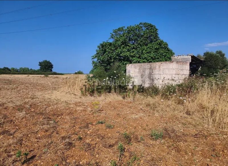 Foto bce618ae-8c22-48b2-b04f-d1ba662205b1. Finca rústica a Muro