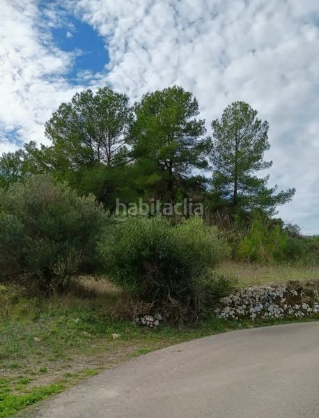 Foto 4468e829-407f-46df-b1fd-ecf0fc1d291a. Finca rústica a Ariany