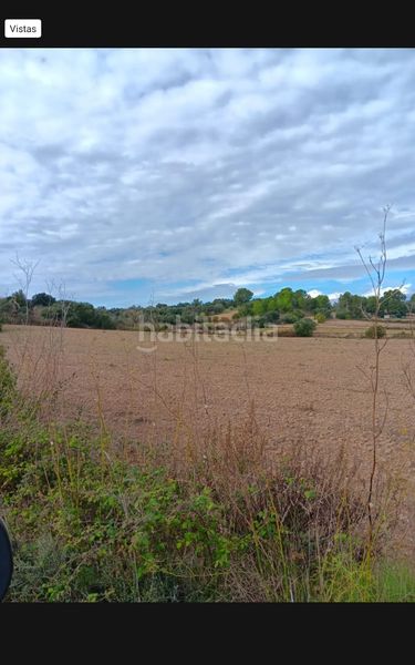 Foto 927952f8-4d8f-4035-a7b2-9844d936a255. Finca rústica a Ariany