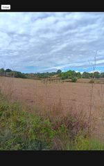 Rural plot  Cami de son reixach. Terrenos rústicos en venta en ariany