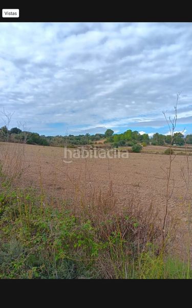 Foto c813b559-6c42-45bb-8076-a0506ebe9daf. Finca rústica a Ariany