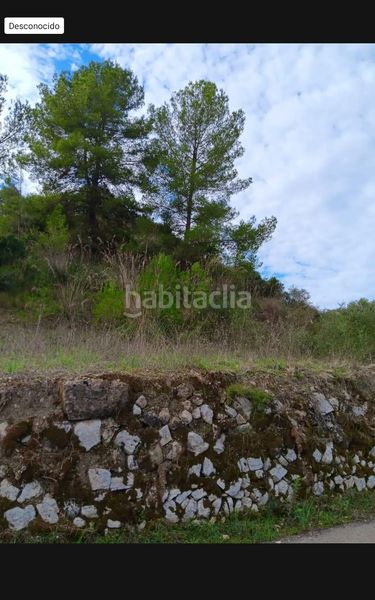 Foto fc5cfb1b-e413-4398-bff5-98fb0f46328a. Finca rústica a Ariany