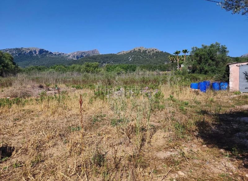 Foto 758d27a0-007a-4289-b4e3-66e3723731f2. Finca rústica a Pollença poble Pollença