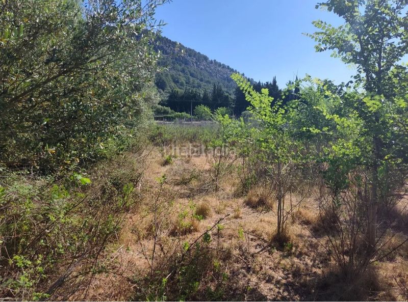 Foto 7749dbeb-7393-41c6-ba43-b54391abd014. Finca rústica a Pollença poble Pollença