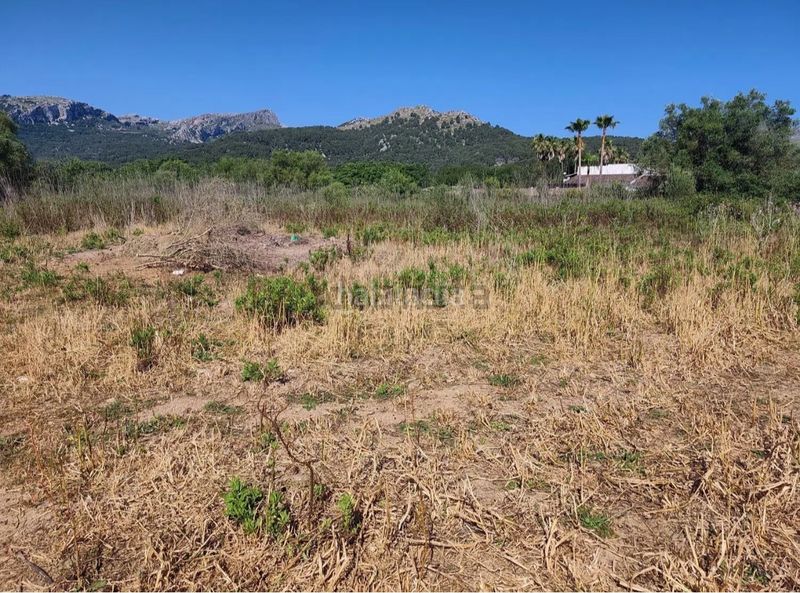 Foto a05e0f29-b972-4823-b137-cc86dc4f41af. Finca rústica a Pollença poble Pollença