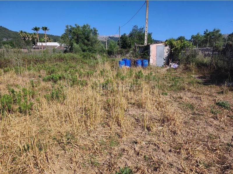Foto e92460bd-519e-4d0a-a8a1-f4b8778036d4. Finca rústica a Pollença poble Pollença