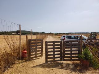 Fondo rustico  Carrer del racó. Finca con caravana y agua en n venta en sineu