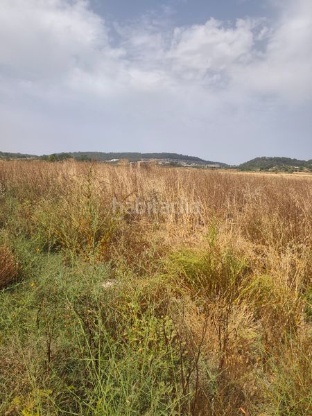 Foto 75537356-a952-43e4-aca9-19ab7ce42f79. Finca rústica a carrer del consistori 2 a Sant Joan