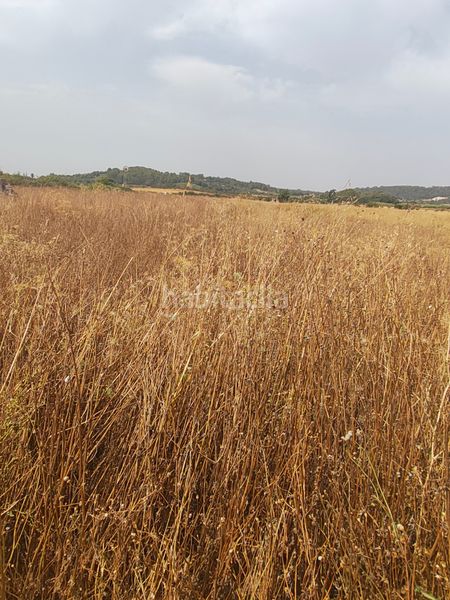 Foto a6ef82e7-9a8a-4336-a95c-19bb5691967f. Finca rústica a carrer del consistori 2 a Sant Joan