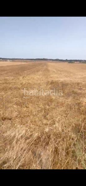 Foto afbeb220-d5d1-4757-9a69-66b9b06662a6. Finca rústica a Muro