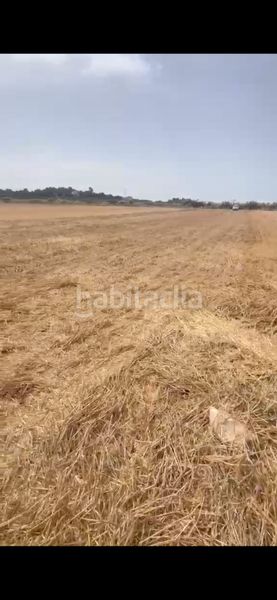 Foto b27ab27d-9370-4d23-be7a-5c71e529d94c. Finca rústica a Muro