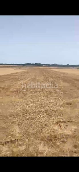 Foto d5311560-4e66-4333-9293-dd500febf99e. Finca rústica a Muro